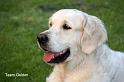 IMG_4671 a
